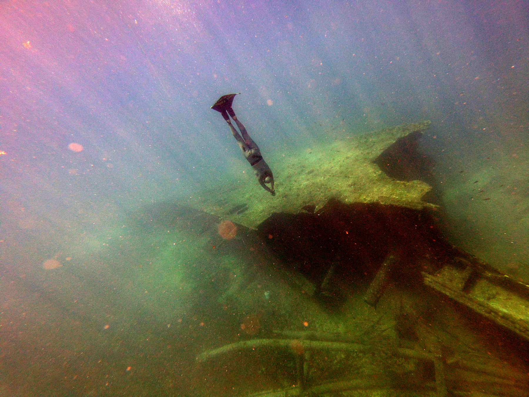 Apnea Boom Freediving School