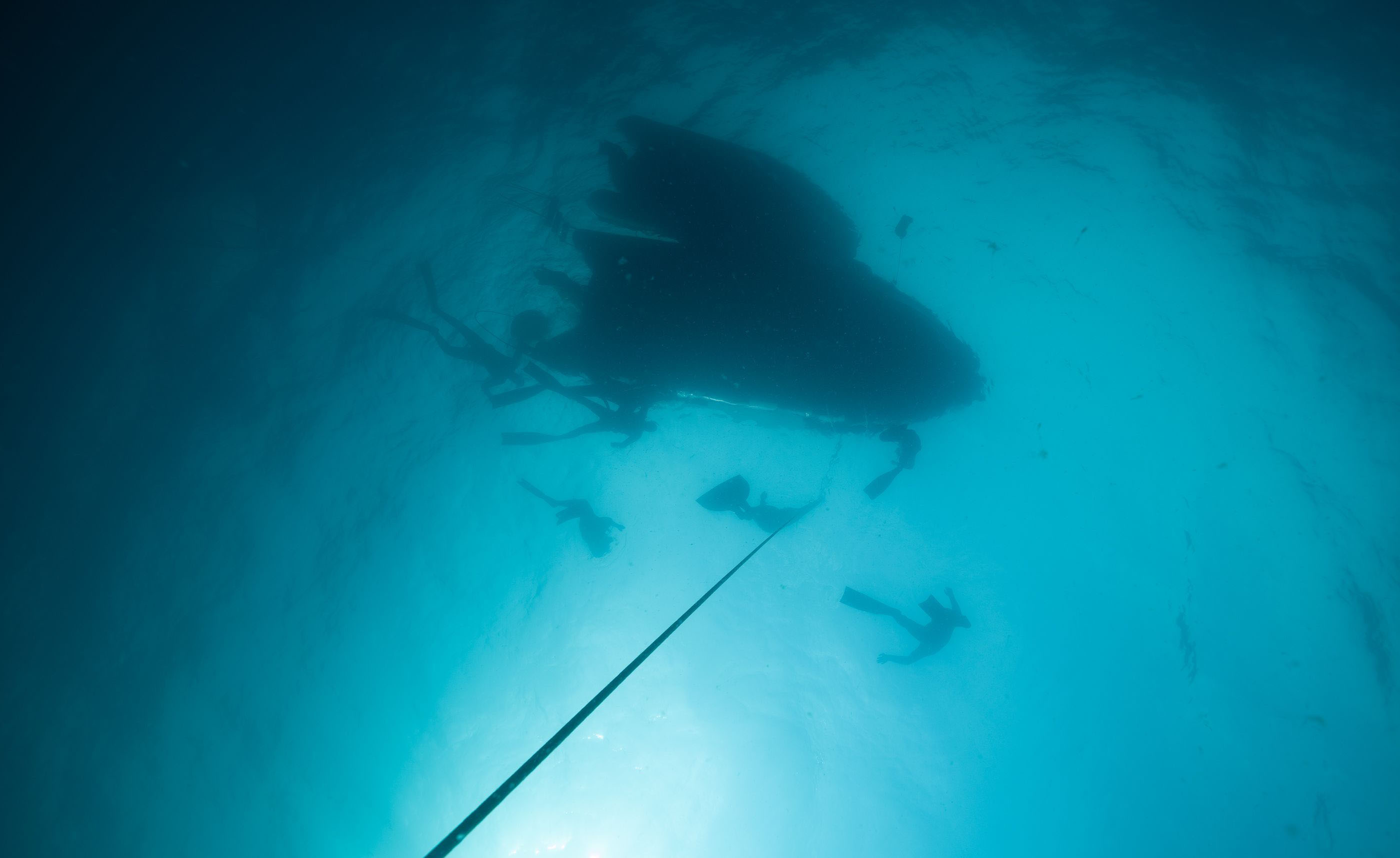 Best Freediving Camp Sal Cabo Verde