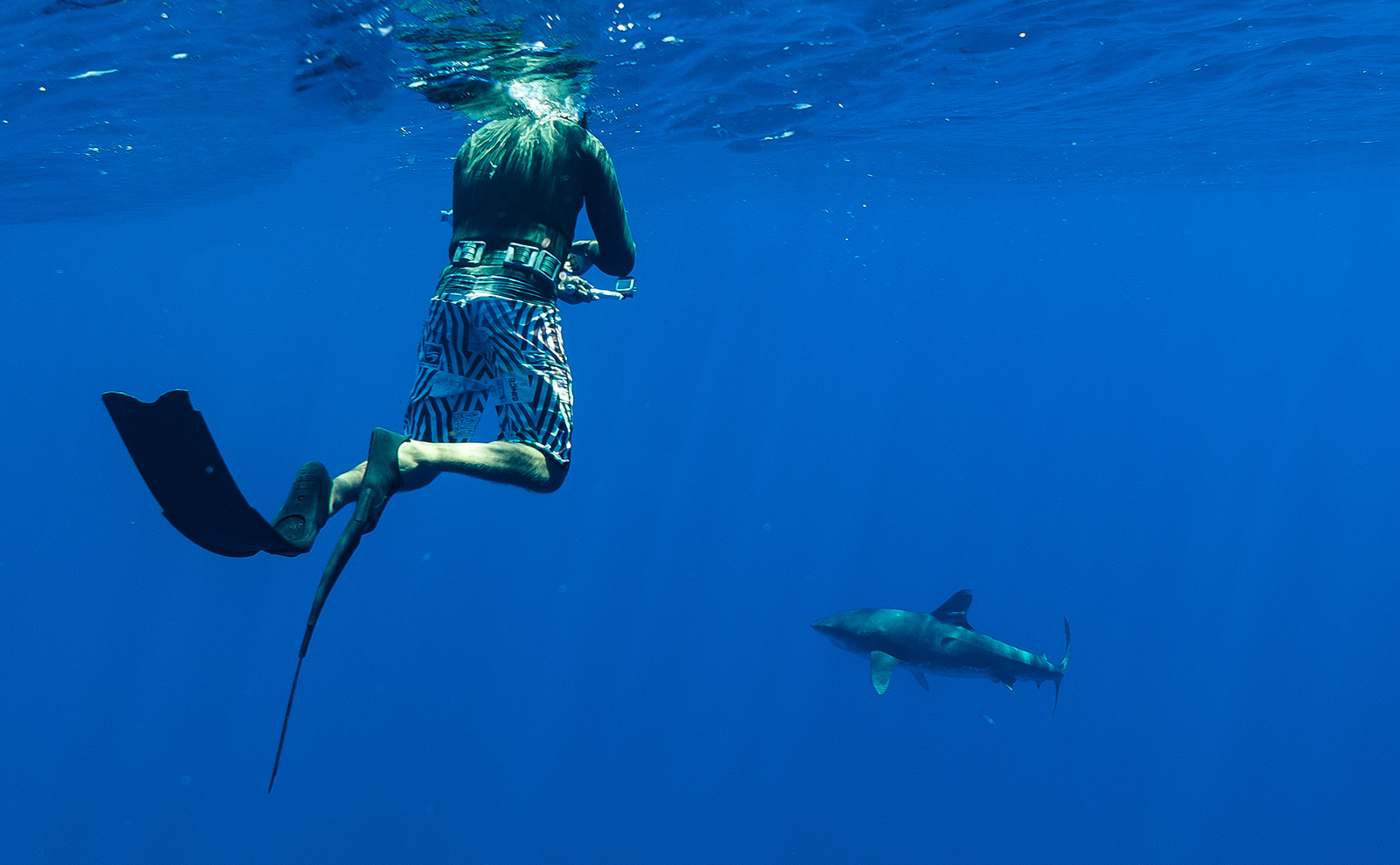 The Colors and Patterns That Attract Sharks: Freediving Attire to Avoid