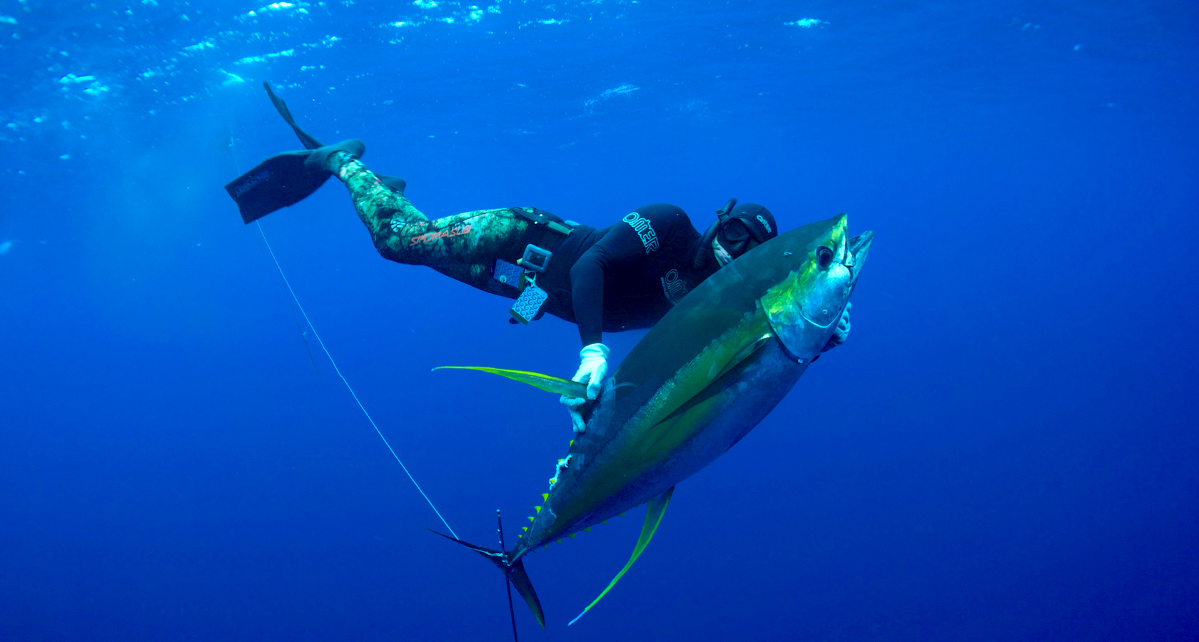 How to arrange the best sea spearfishing adventure