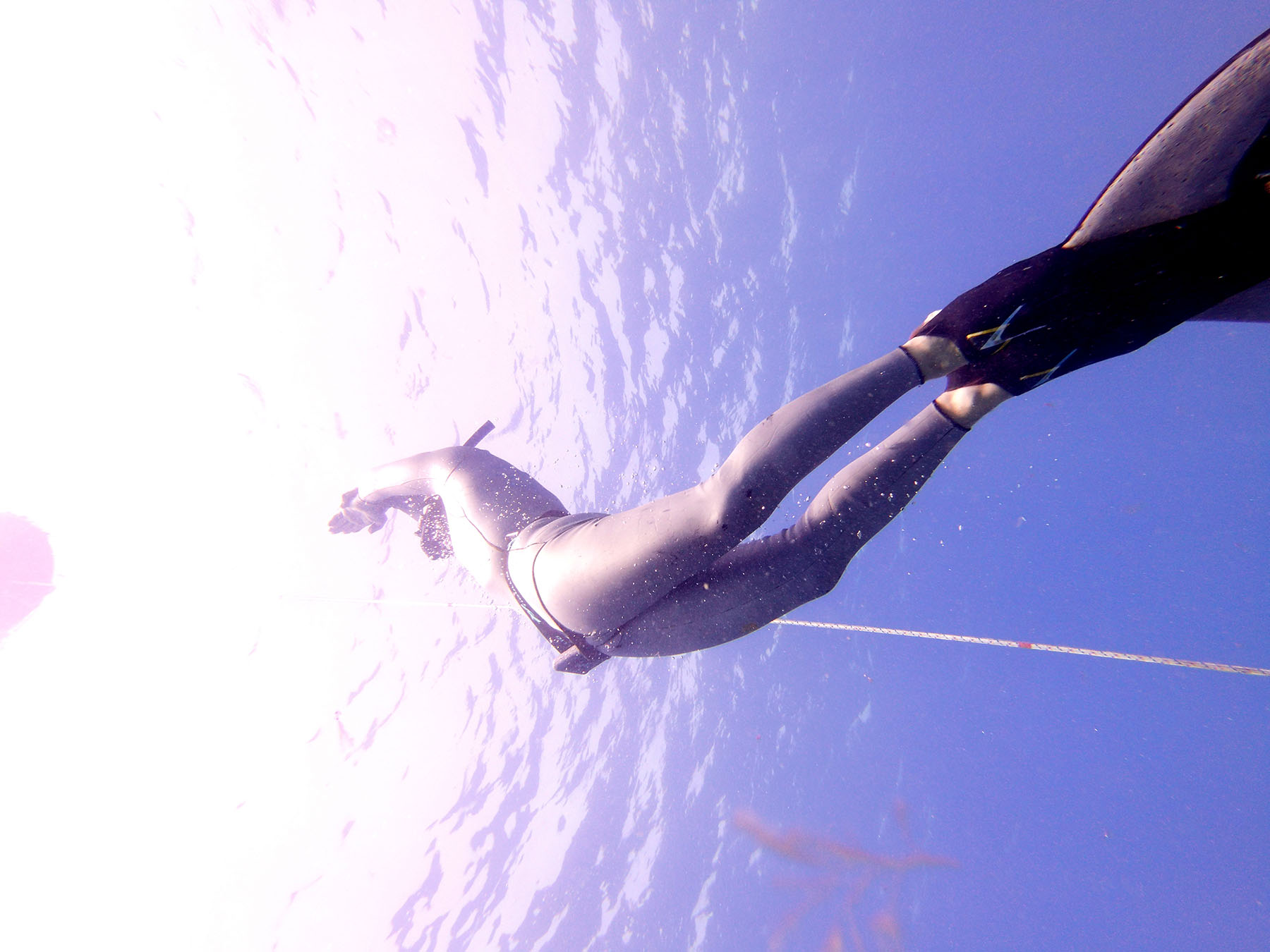 Physical Fitness in Freediving